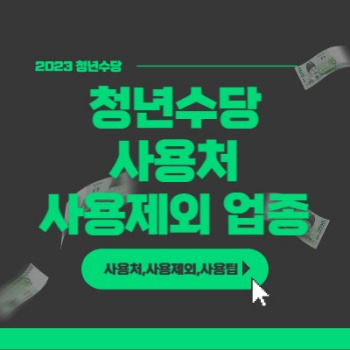 Read more about the article 2023 청년수당 사용처 및 사용 제한