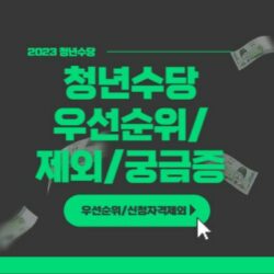 Read more about the article 청년수당 신청 우선순위 자격상실등 참고할 사항